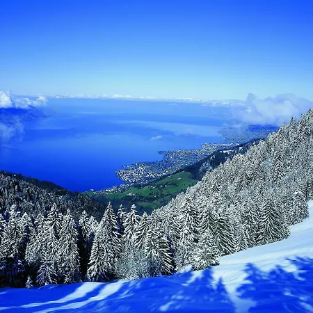 골프 르네 캅트 4* 몽트뢰