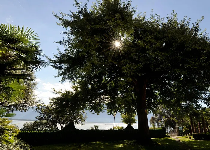 Golf Rene Capt Montrö